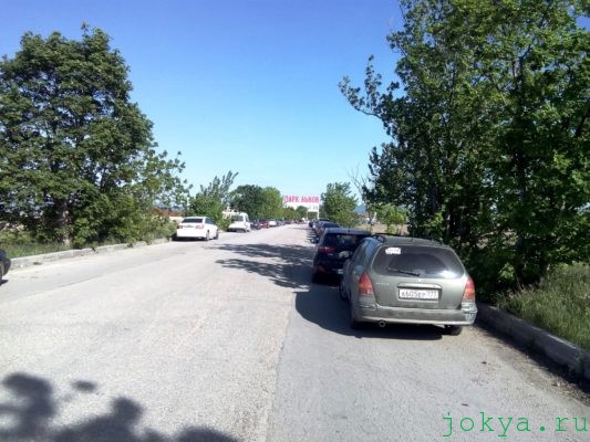 Дорога через парк сафари львов Тайган фото заметка о Крыме jokya.ru 
