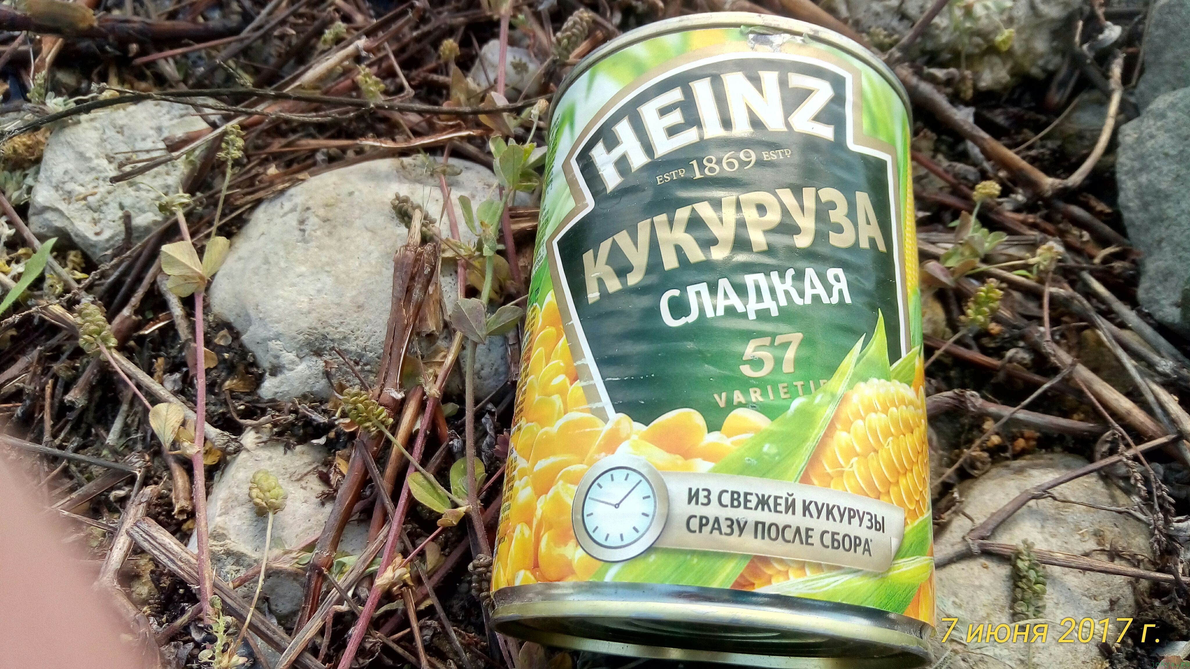 Фото кукурузы для рыбалки фото заметка о моей реальности в Крыму jokya.ru 