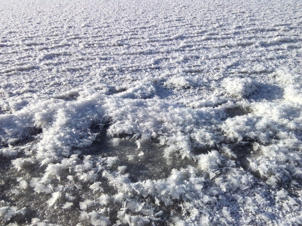 Лед стал на водоеме: на Тайгане и на Белогорском водохранилище фото сюжет от jokya.ru 