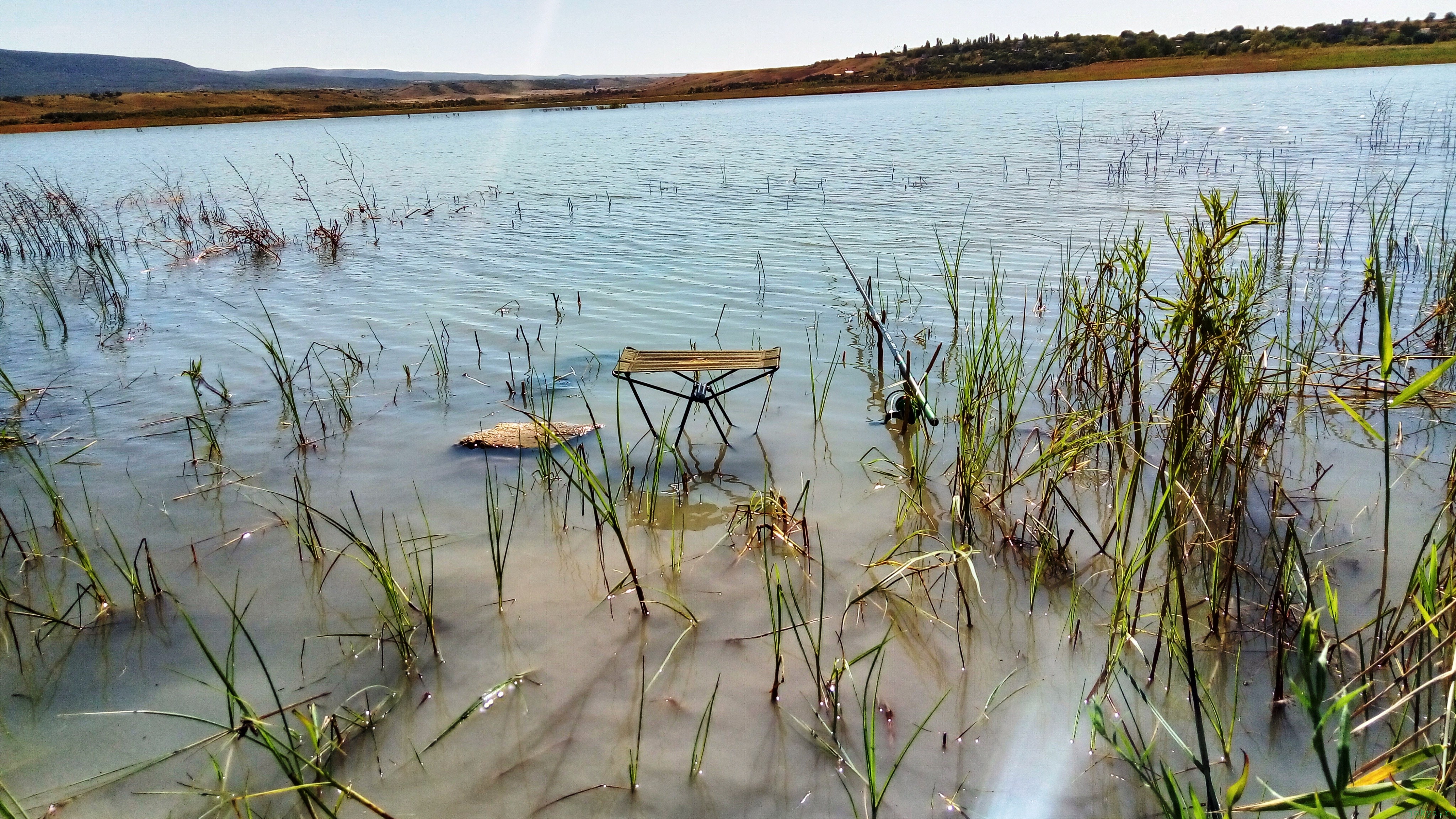 Ловля леща летом на удочку с берега рыбалка фото заметка из моей реальности в Крыму jokya.ru 