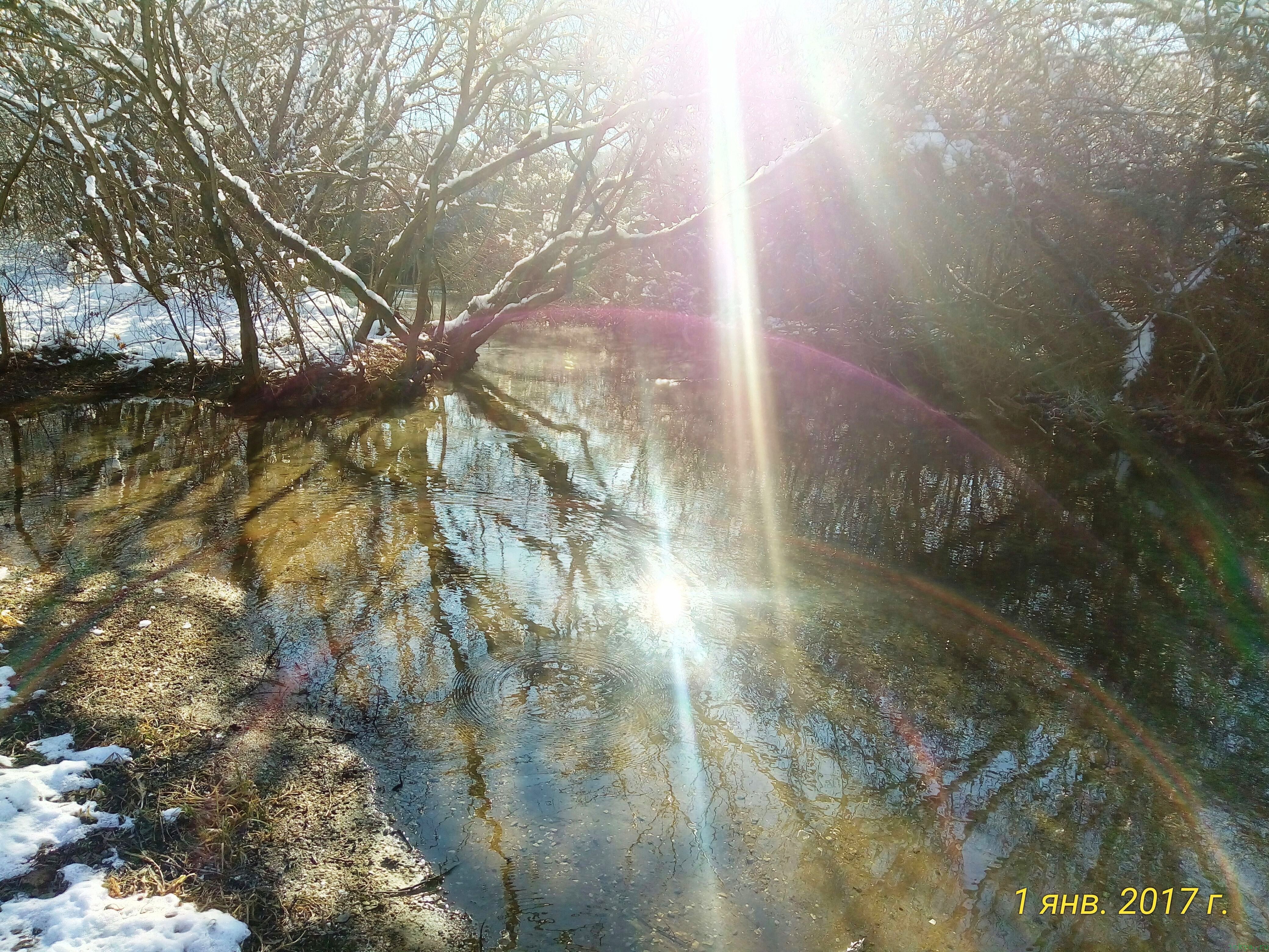 Пикник в лесу на 1 января 2017 года у реки Карасевка, где исток фото заметка о моей реальности в Крыму jokya.ru 