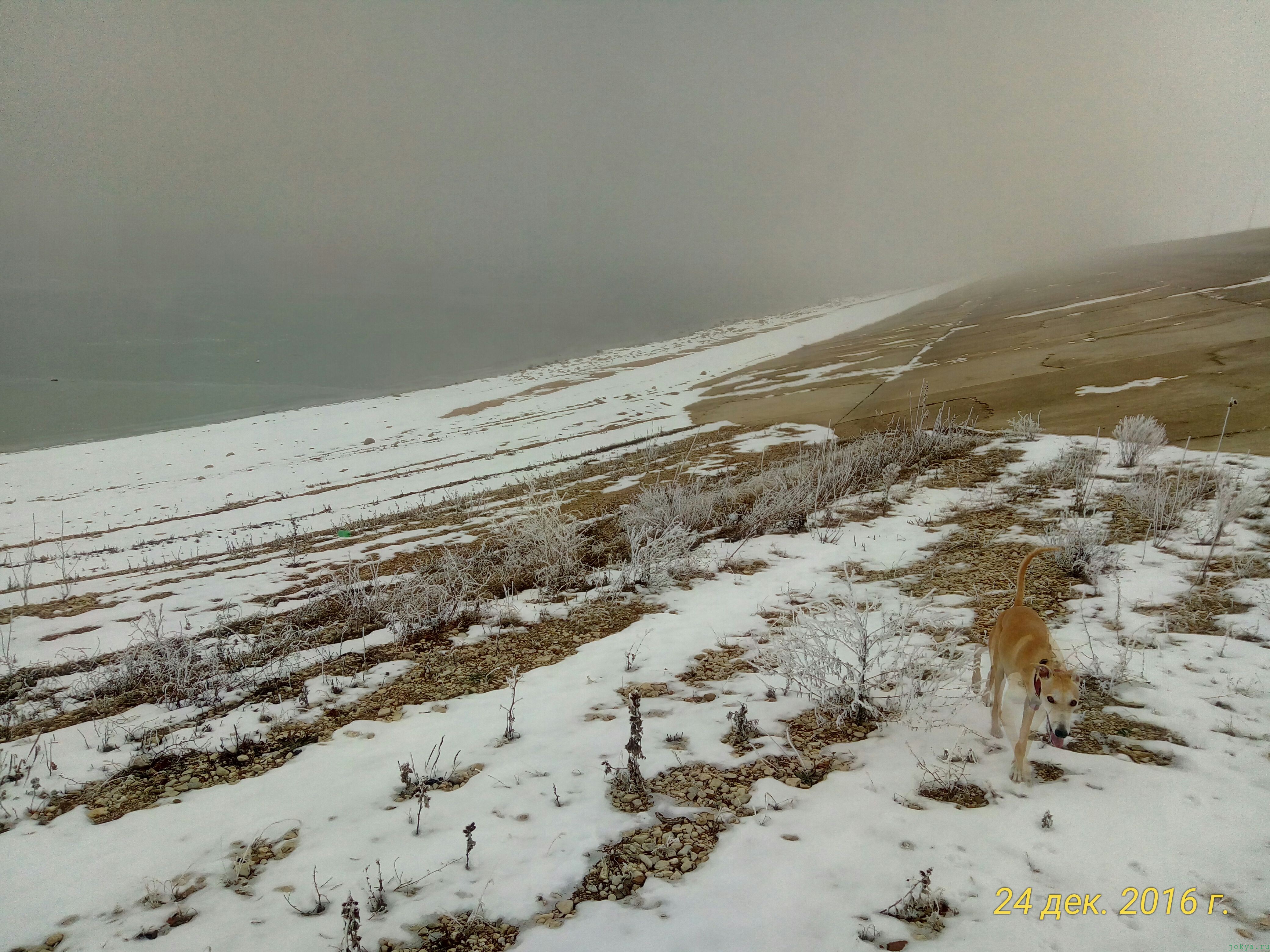 Прогулка по местности без цели по снегу: фото заметка о реальности в Крыму jokya.ru 