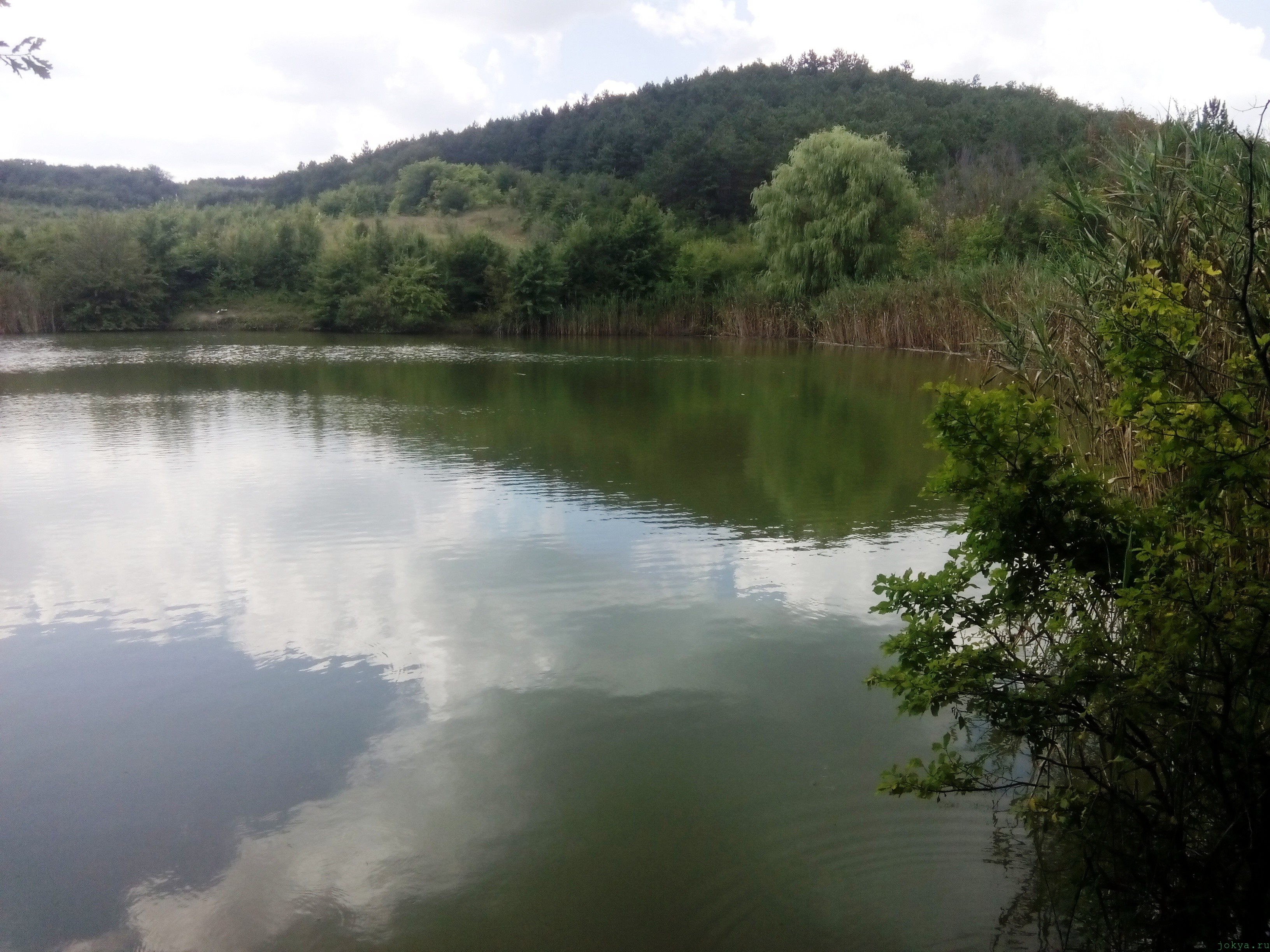 Пруд Ольховка в долине реки Танасу фото заметка о Крыме jokya.ru 