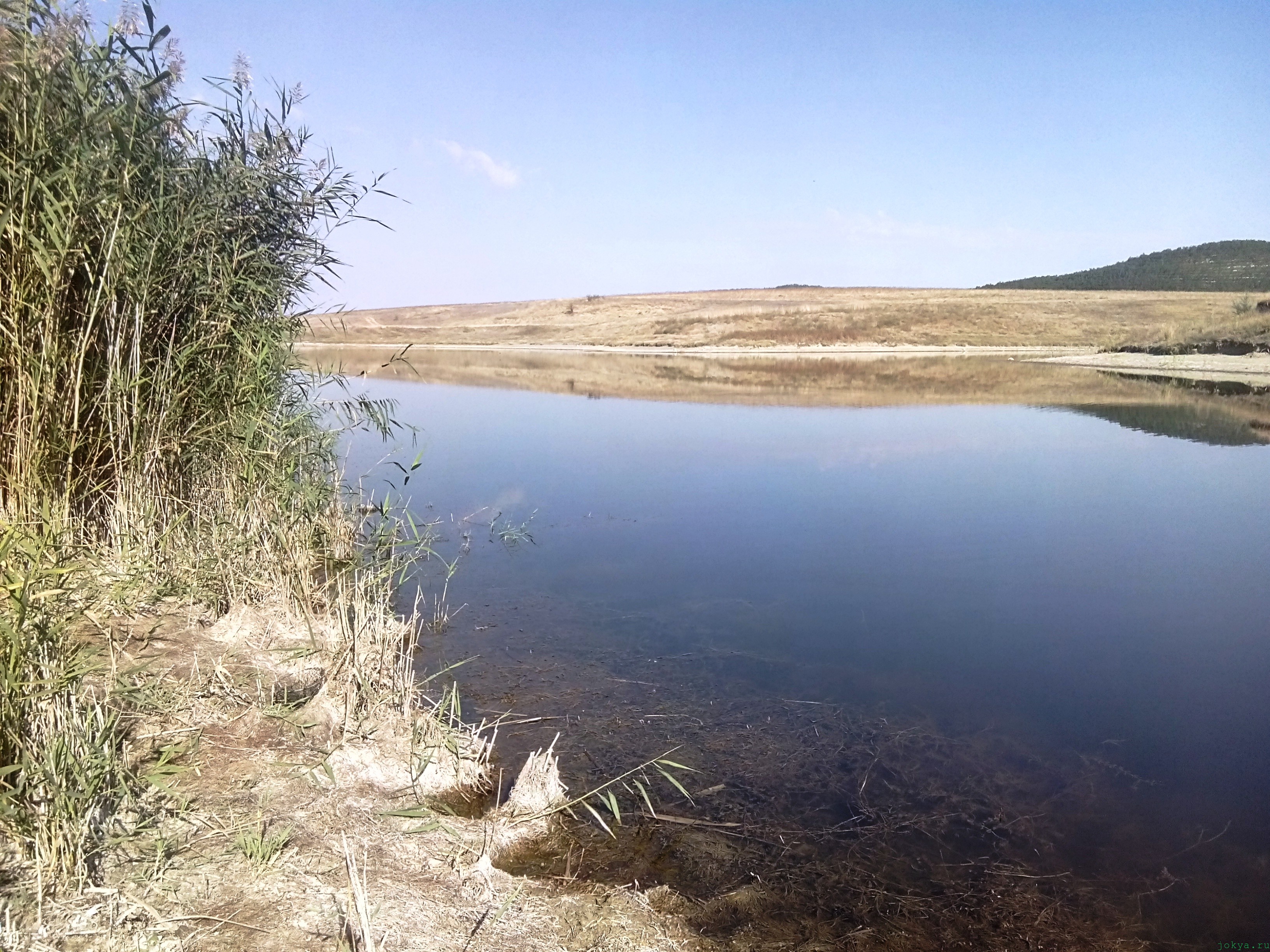Пруд три рукава: пруды в районе села Чернополье фото заметка о Крыме jokya.ru 