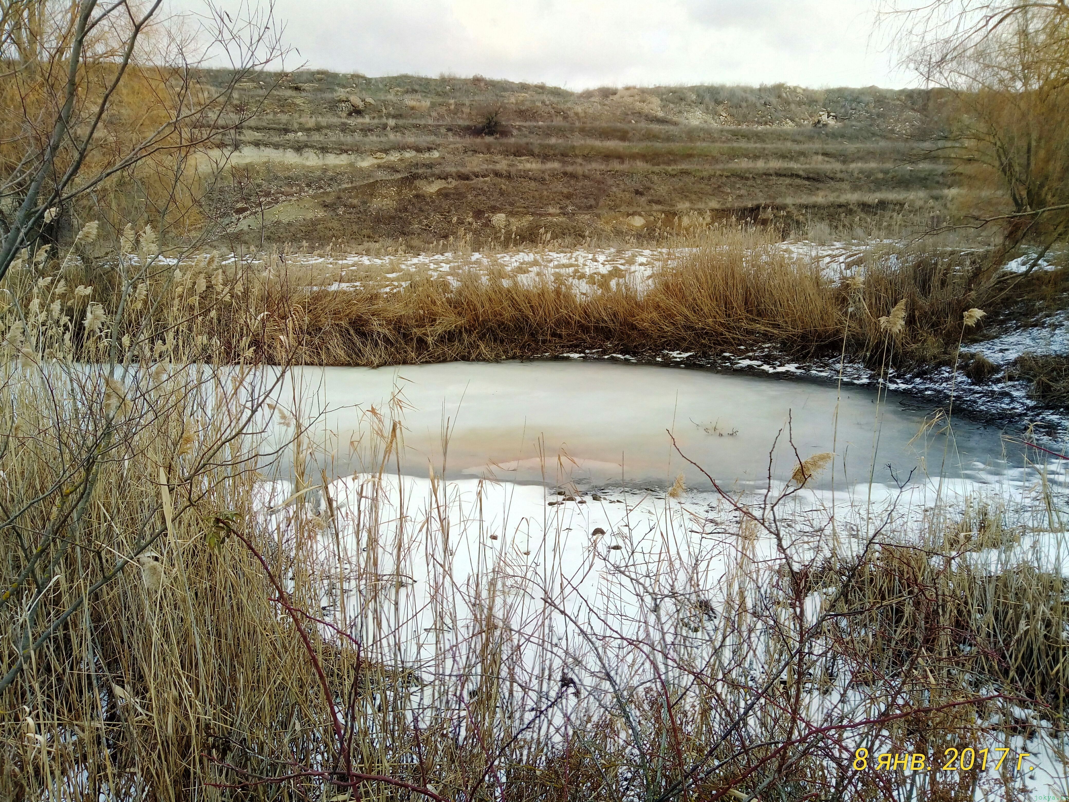 Пруд зимою «Дурдомовский»: ловля зимой на пруду фото заметка о моей реальности в Крыму jokya.ru 