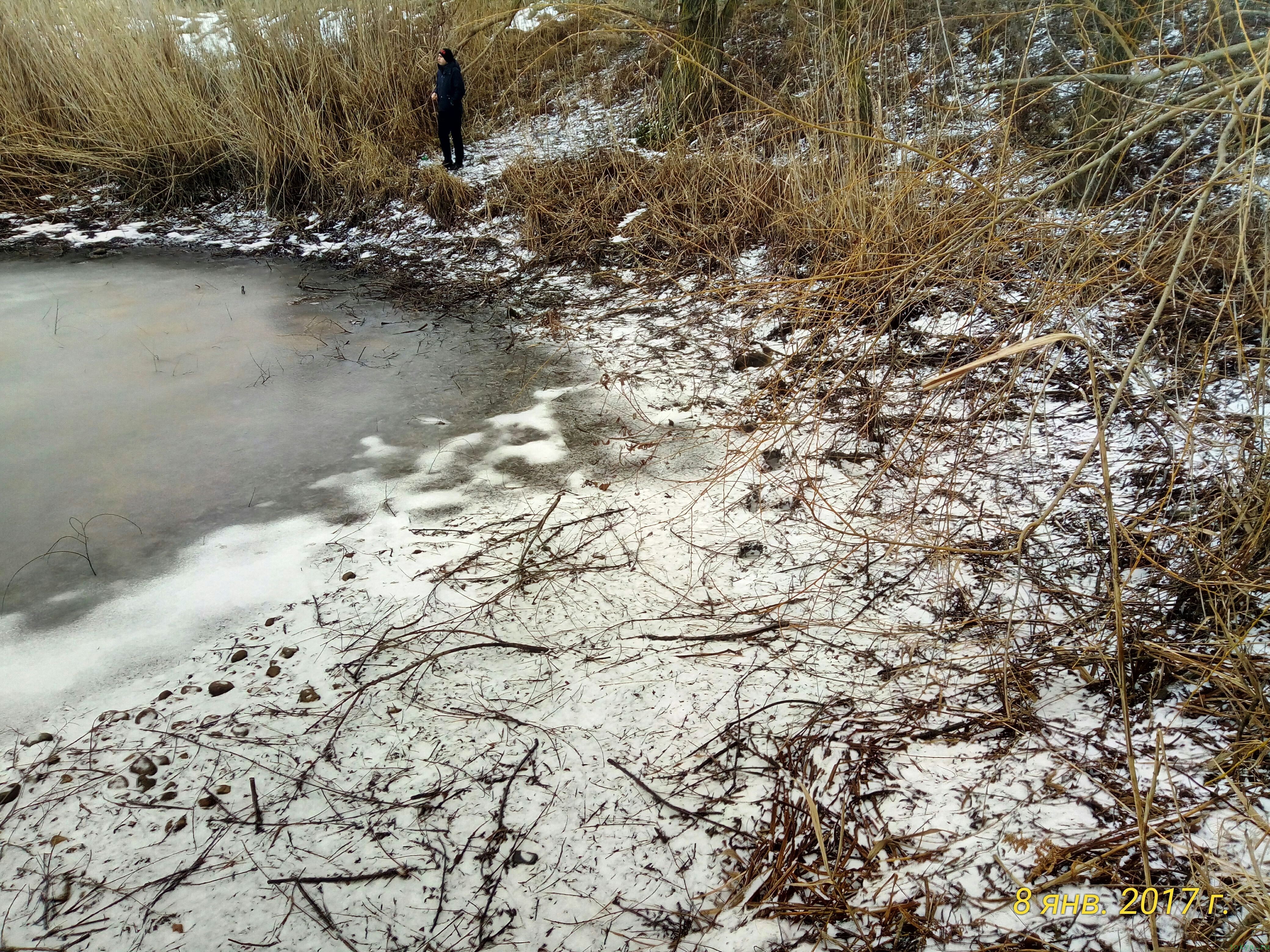 Пруд зимою «Дурдомовский»: ловля зимой на пруду фото заметка о моей реальности в Крыму jokya.ru 