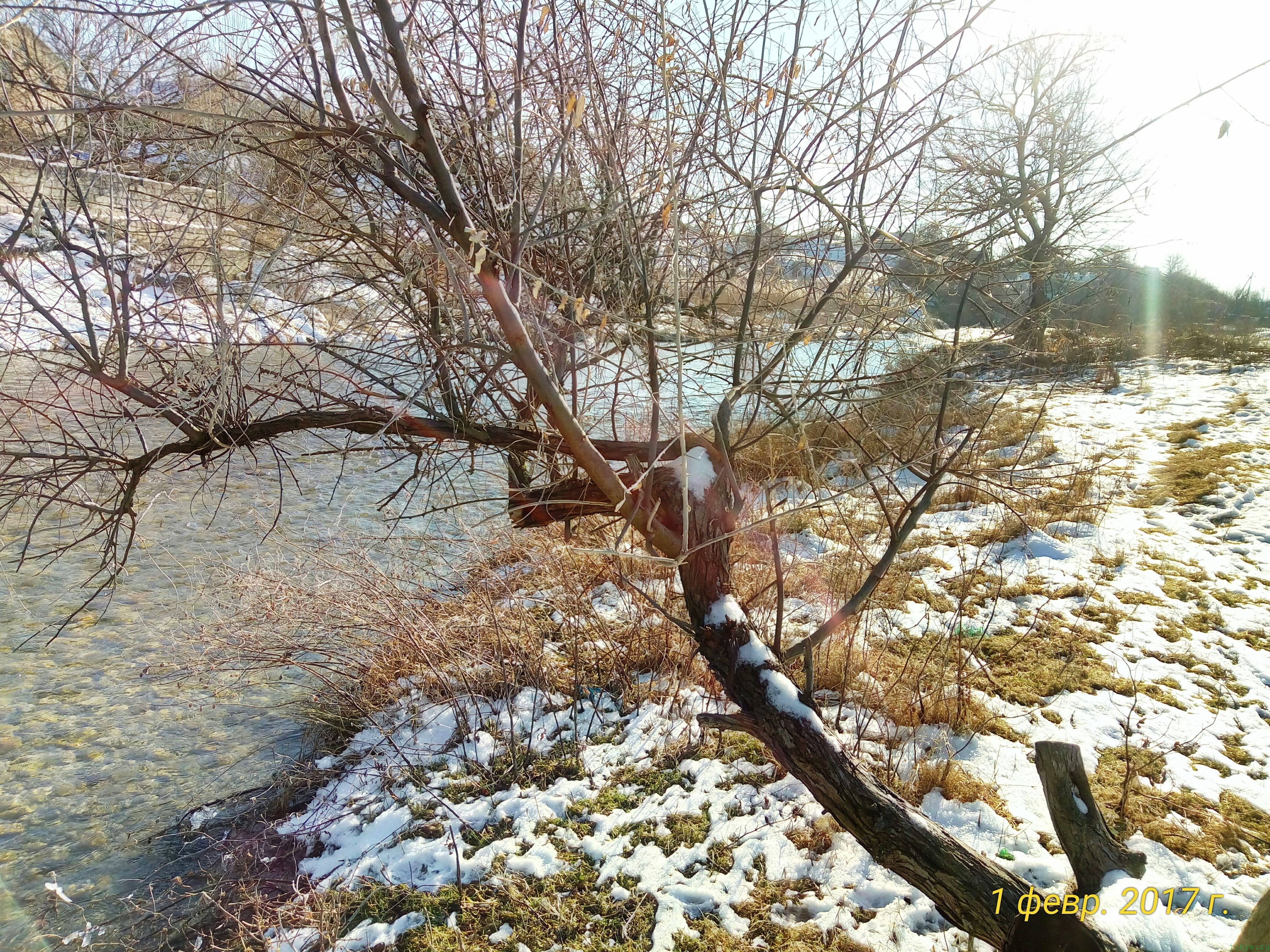 Река Биюк карасу 1 февраля: фото реки фото заметка моей реальности в Крыму jokya.ru 