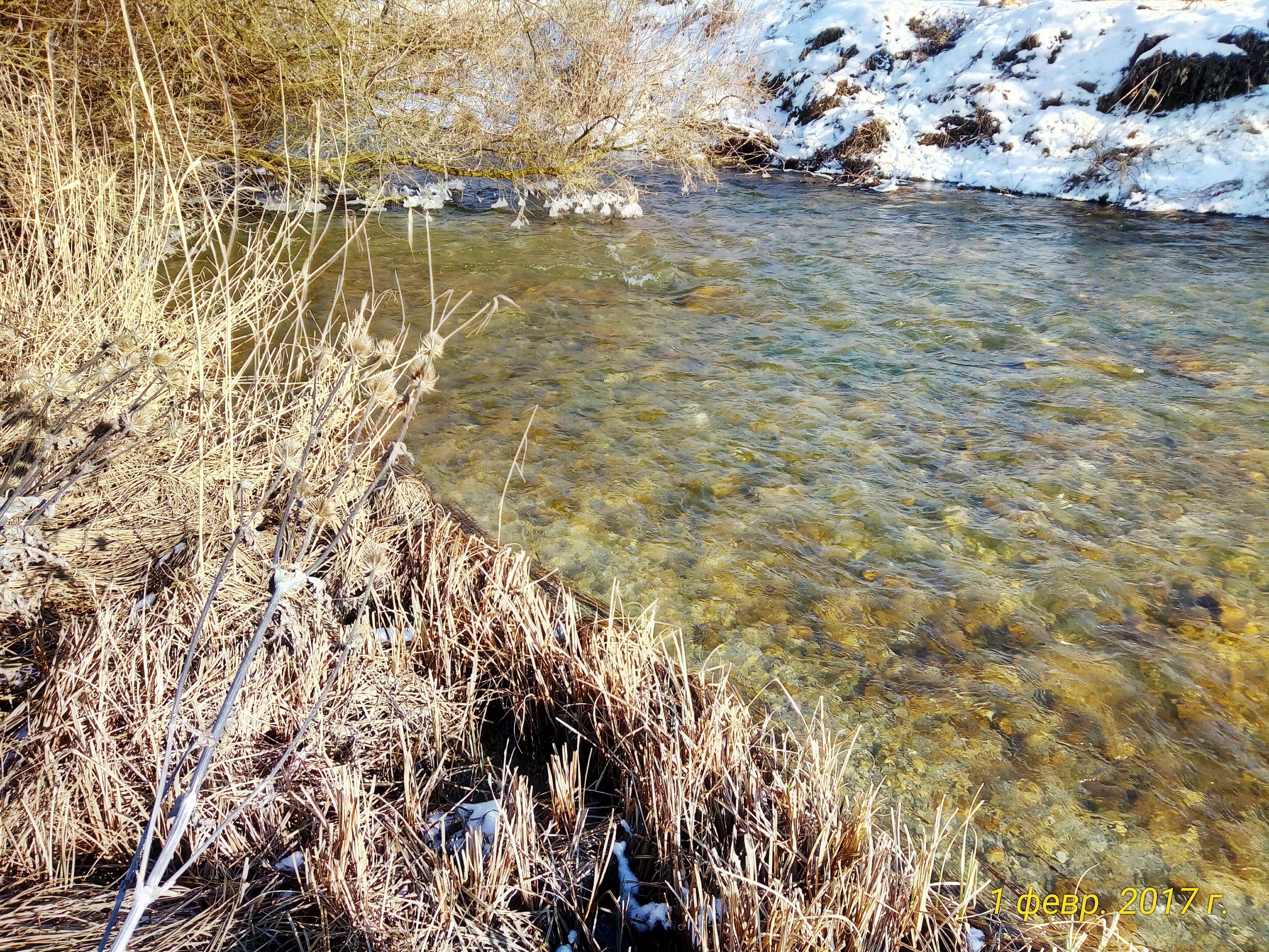 Река Биюк карасу 1 февраля: фото реки фото заметка моей реальности в Крыму jokya.ru 