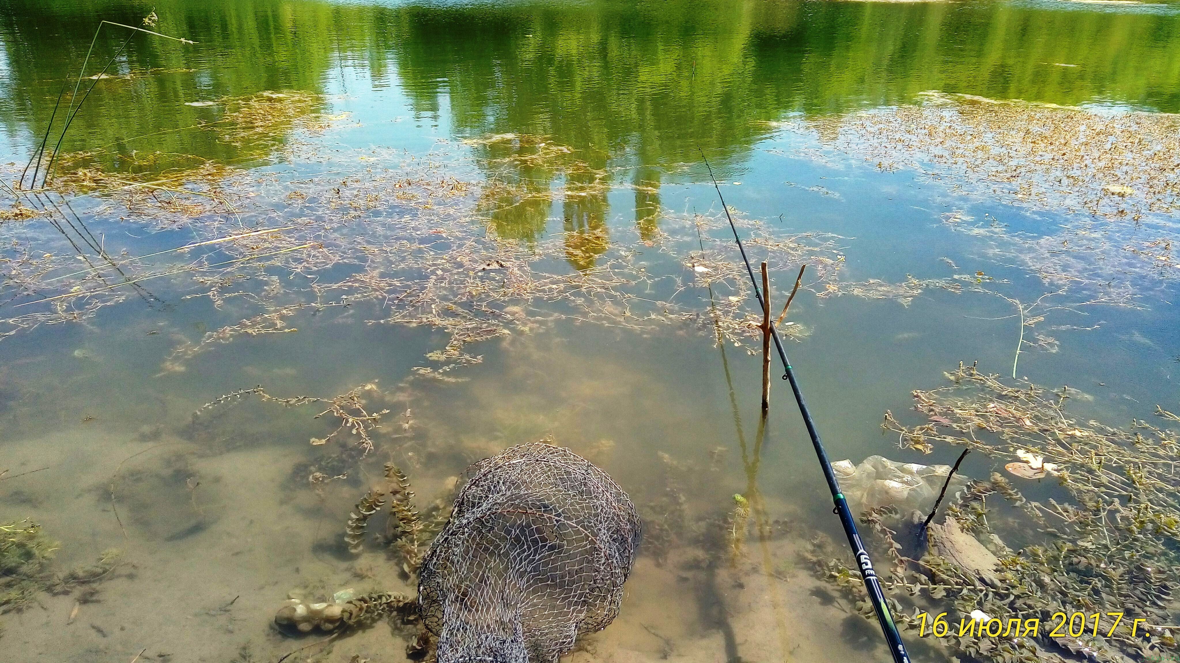 Рыбалка на озере: отдых рыбалка фото заметка о моей реальности в Крыму jokya.ru 