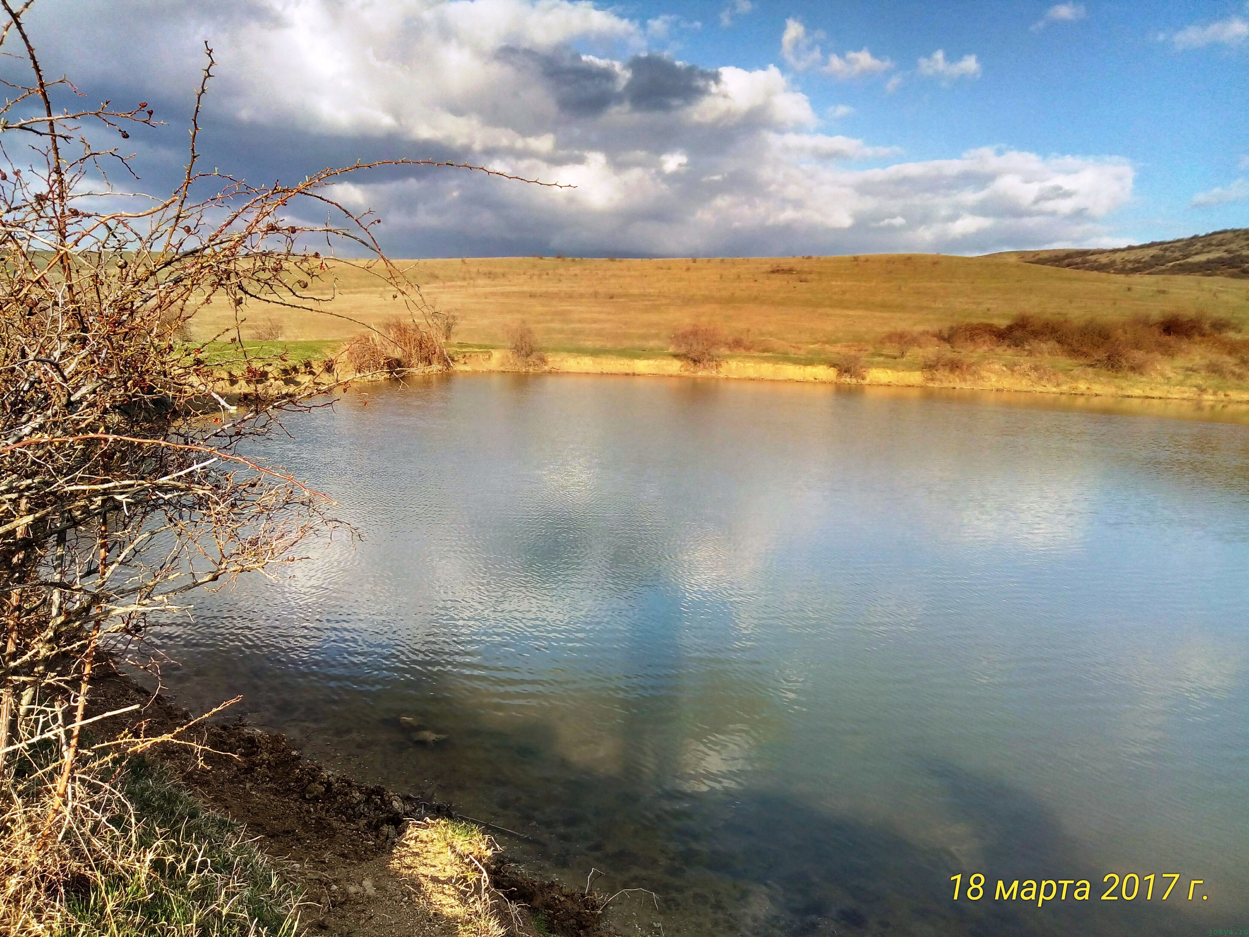 Весенний водоем пруд «Киличек» в марте фото заметка о моей реальности в Крыму 