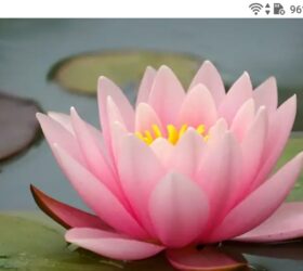 фото - jokya.ru - Келейное чтение молитвослова направлено на пробуждение нашей души