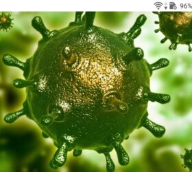 фото - jokya.ru - Почему нас ожидает вторая волна корона вируса по линейному сценарию