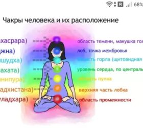 фото - jokya.ru - О цветах и вибрациях чакральной системы 4D