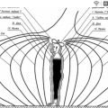 фото - Циклы - регулировка и настройка эфирных полей человека 4Д с иллюзорным пространством 4-й мерности - https://jokya.ru/